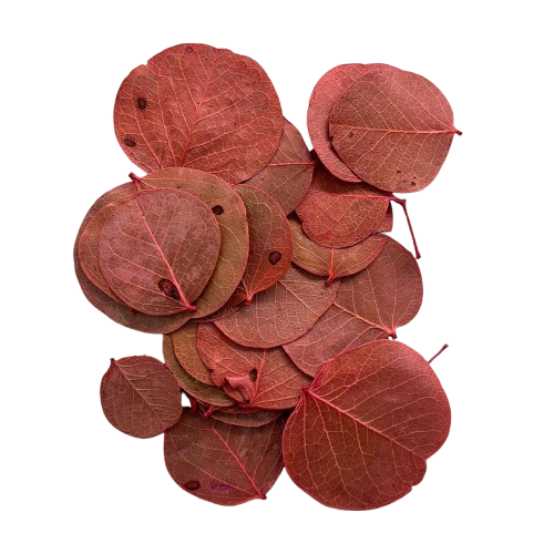 Pacote de Folha Moeda Seca. Cor: rosa seco