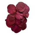 Pacote de Folha Moeda Seca. Cor: Vinho/roxo escuro