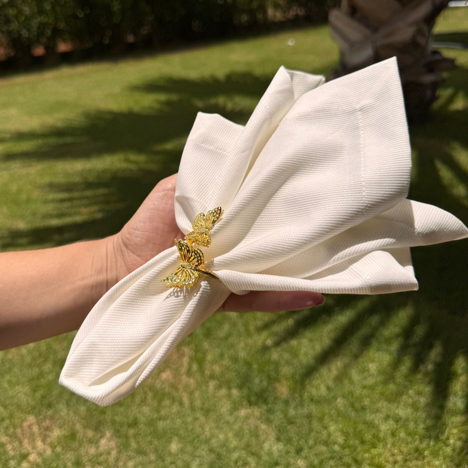 Porta-guardanapo borboletas
